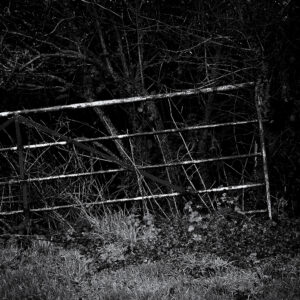Gate